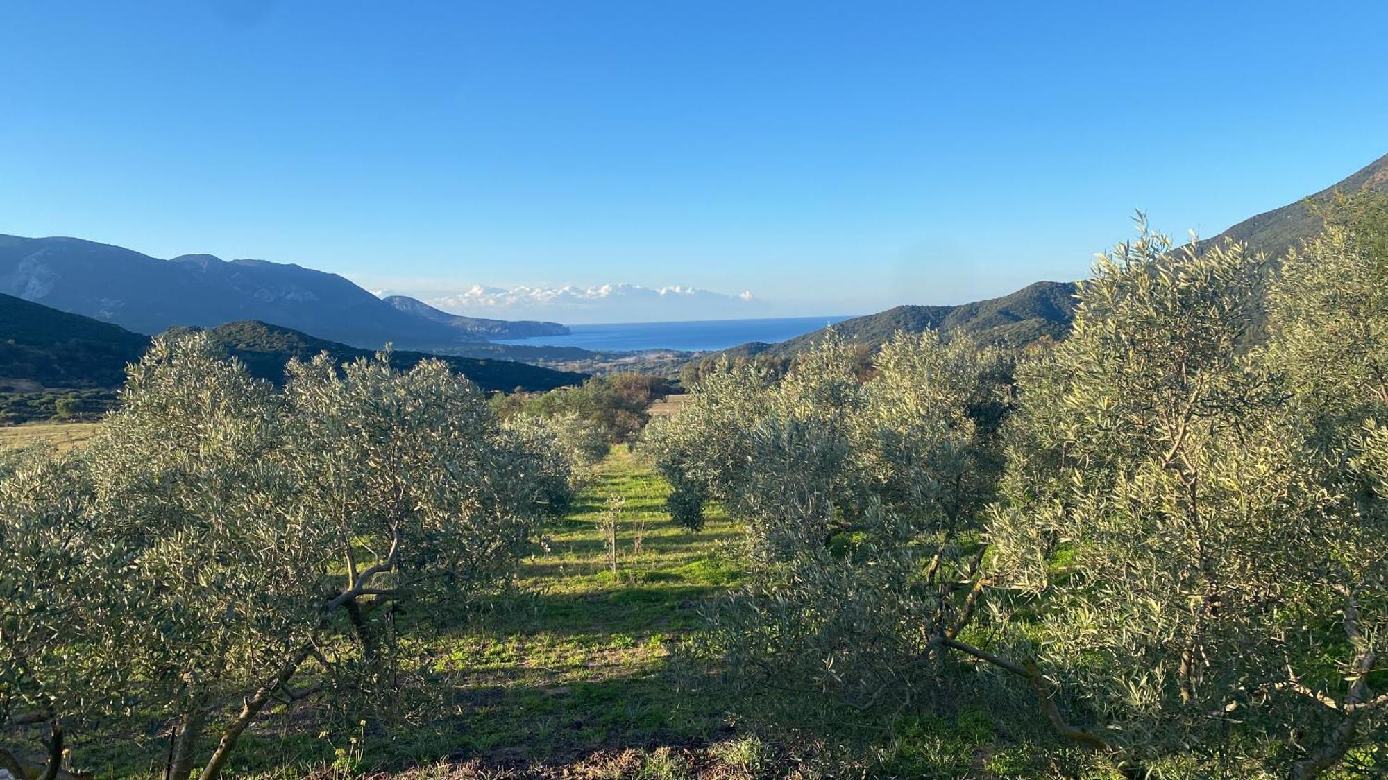 Agriturismo Il Ginepro Fluminimaggiore Exterior foto