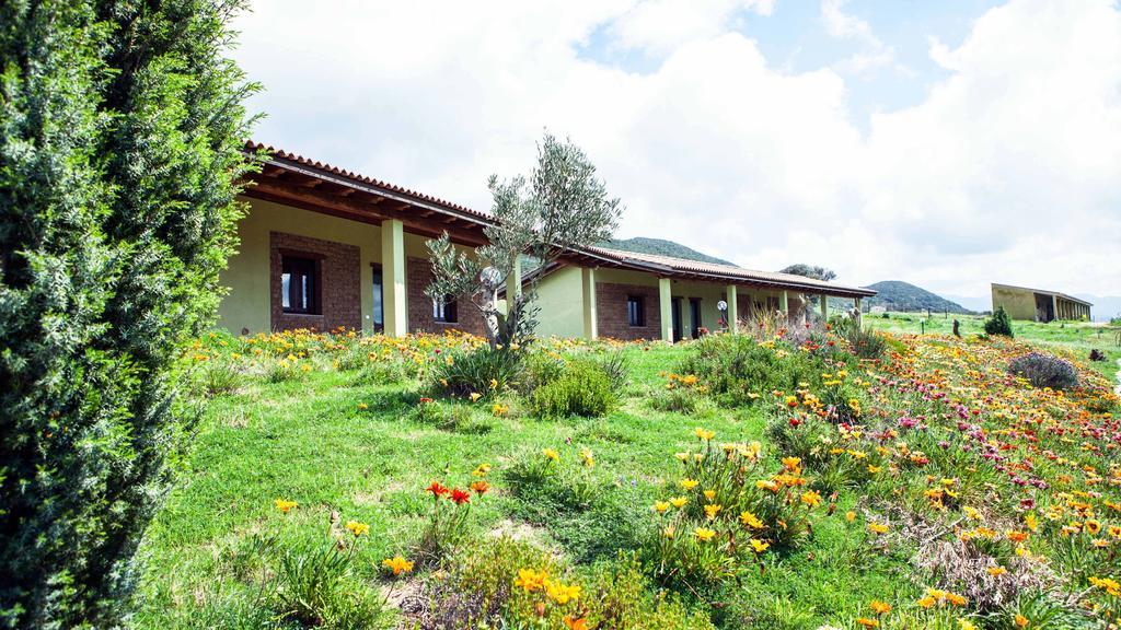 Agriturismo Il Ginepro Fluminimaggiore Zimmer foto