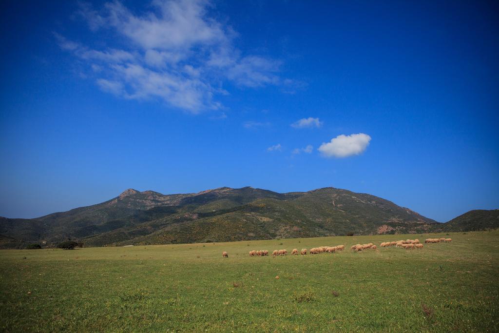 Agriturismo Il Ginepro Fluminimaggiore Exterior foto