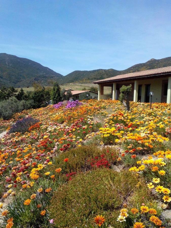 Agriturismo Il Ginepro Fluminimaggiore Exterior foto